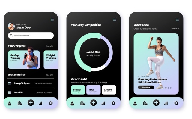 Fitness Dashboard mit Charts